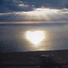 1296.gif