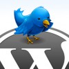 Important Ways to Add Twitter on WordPress Site