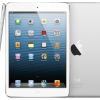 iPad Mini Supply Problem – White Colored Model Immediately Disappeared in the Market